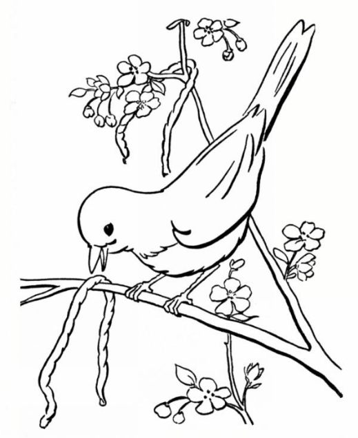 نقاشی طبیعت کودکانه؛ ۷۰ نقاشی ساده و جذاب برای کودکان - ستاره