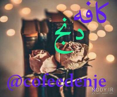 کلبه دوستی، - عکس ویسگون