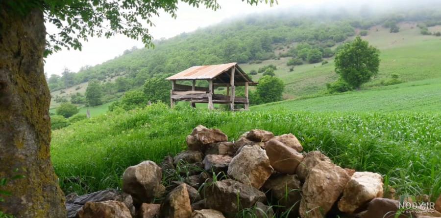 کلبه چوبی باران در روستای خوش آب و هوای چهره – ویلا و سوئیت در بابل | شب