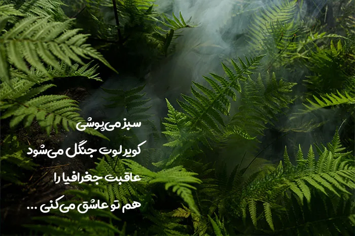کلبه چوبی؛ تجربه بکر در ییلاقات شمال
