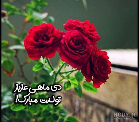 عکس تبریک تولد دختر دی ماهی عکس تبریک تولد دختر دی ماهی