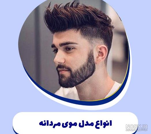 عکس رنگ های موی سر عکس رنگ های موی سر