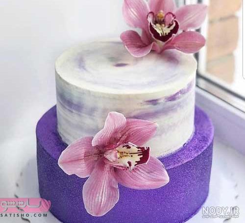 عکس های کیک تولد دخترانه ساده