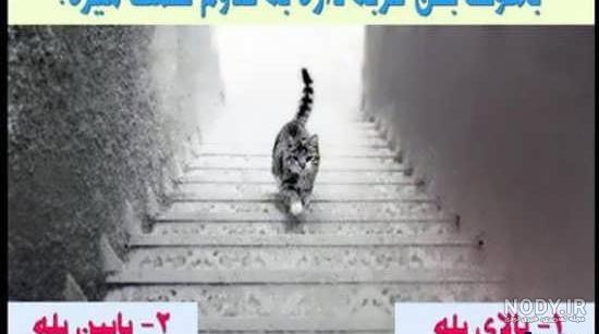 معمای تصویری با جواب + 12 معمای جالب تصویری بامزه به همراه پاسخ آنها معمای تصویری با جواب + 12 معمای جالب تصویری بامزه به همراه پاسخ آنها