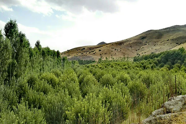دره قاسملو ارومیه (دره شهدا)؛ رهایی از همهمه شهر | مجله علی بابا دره قاسملو ارومیه (دره شهدا)؛ رهایی از همهمه شهر | مجله علی بابا