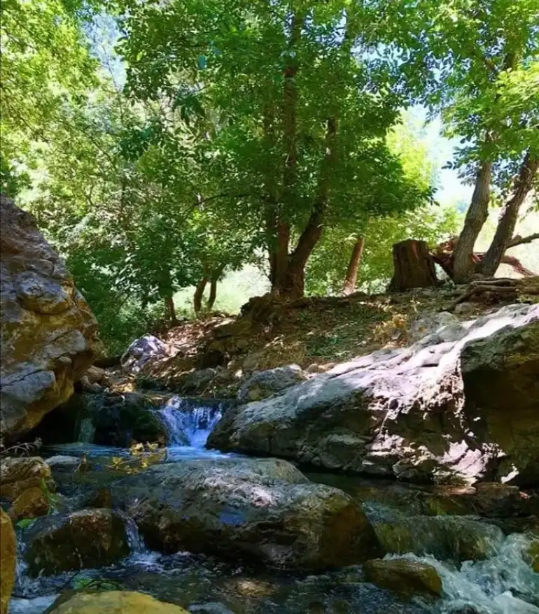 پیام جوانان کورد و تورک ارومیه در رابطه با سالروز ترور دکتر قاسملو پیام جوانان کورد و تورک ارومیه در رابطه با سالروز ترور دکتر قاسملو