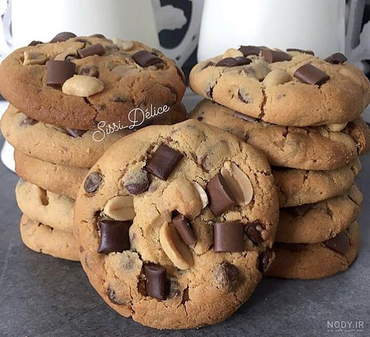 طرز تهیه انواع کوکی | دستور پخت 18 نوع کوکی خوشمزه خانگی | بارجیل