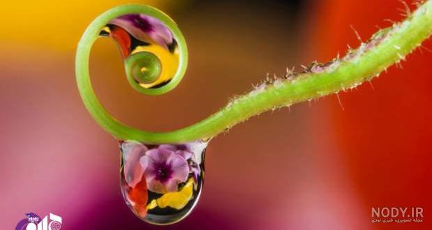 عکس قطرات آب