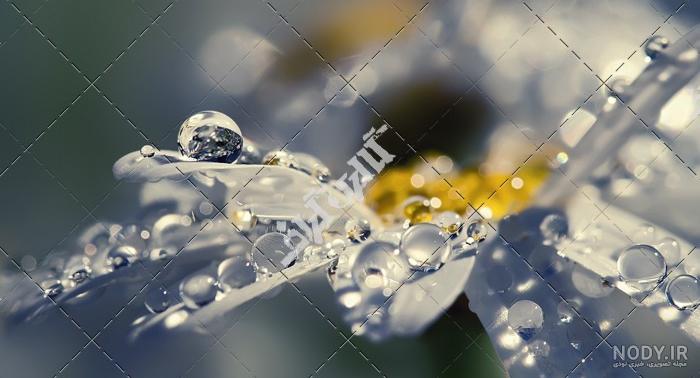 عکس قطره باران نقاشی