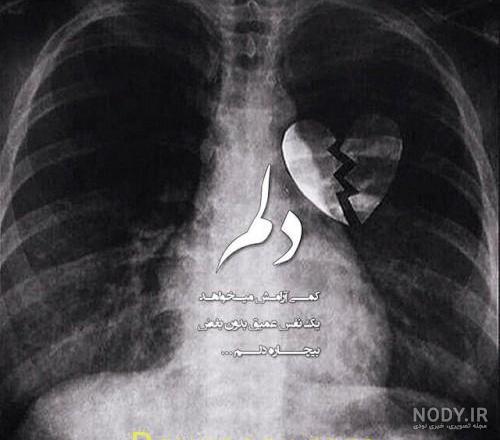 عکس بغل تو بغل هم عکس بغل تو بغل هم