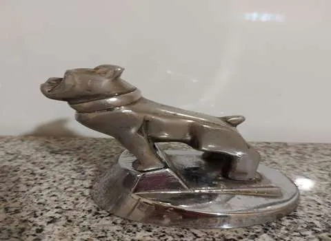 عکس سگ ماک امریکایی