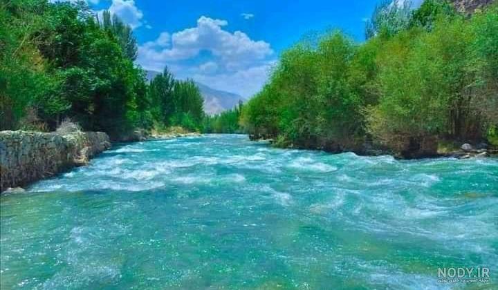 عکس های عقاب بغلان عکس های عقاب بغلان