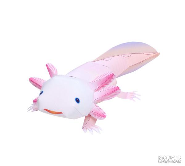 اکسولوتل Axolotl ، معرفی ، تکثیر و آموزش نگهداری - ایران پلنت اکسولوتل Axolotl ، معرفی ، تکثیر و آموزش نگهداری - ایران پلنت