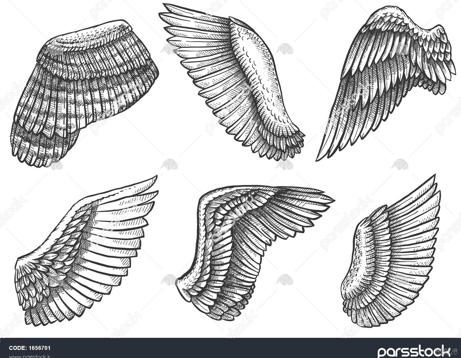 تاتو بال فرشته روی مچ دست