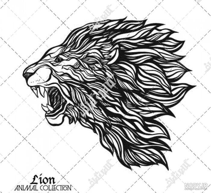 تاتو کله عقاب - عکس نودی تاتو کله عقاب - عکس نودی