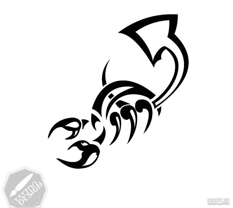 تاتو عقرب روی دست - عکس نودی تاتو عقرب روی دست - عکس نودی