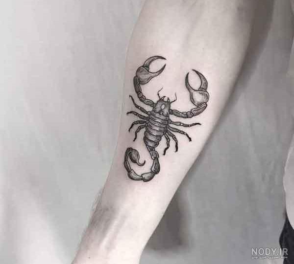 تاتو عقرب روی گوش