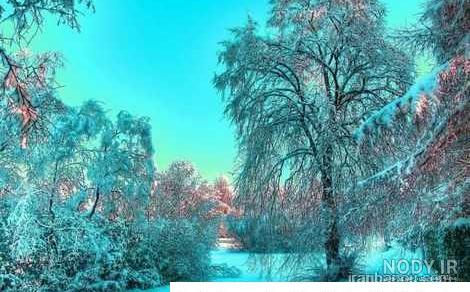 زیباترین عکس های عاشقانه دنیا + عکس