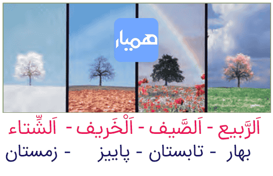 صبح بخیر زیبا و عاشقانه به زبان عربی با ترجمه فارسی