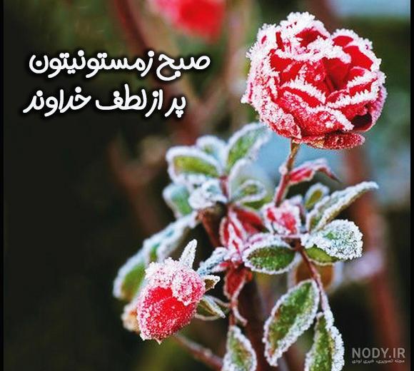 عکس نوشته روز یکشنبه با جملات و متن های زیبا