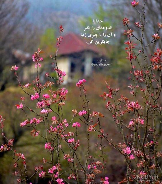 عکس نوشته صبح بخیر جدید، شاد و عاشقانه، انگیزشی و پرانرژی