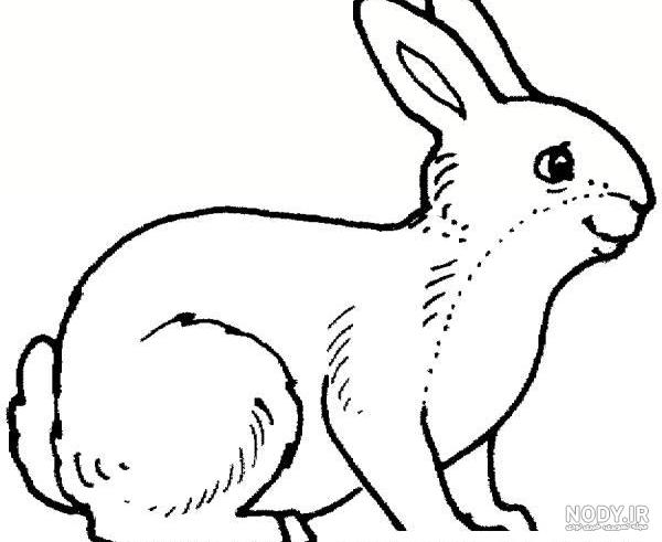 نقاشی سگ کودکانه با آموزش ویدئویی