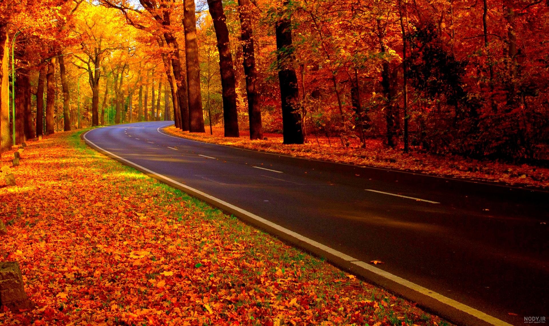 Beautiful Autumn Photo Beautiful Autumn Photo
