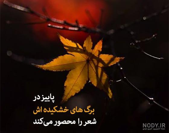 80 استوری پاییز | عکس نوشته پاییزی عاشقانه و غمگین برای استوری - دلبرانه 80 استوری پاییز | عکس نوشته پاییزی عاشقانه و غمگین برای استوری - دلبرانه