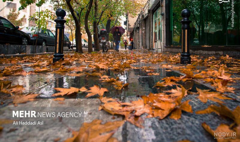 65 عکس جاده و خیابان🛣️دانلود بهترین عکس های جاده و خیابان