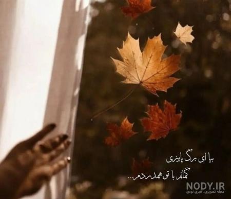 استوری زیبا پاییزی برای واتساپ