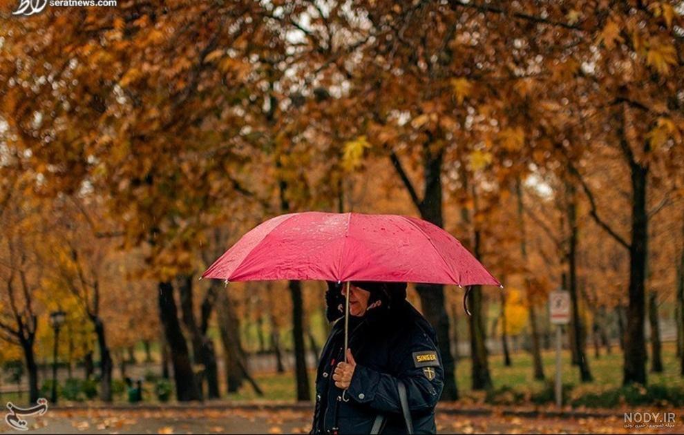 بارش باران پاییزی باران در شهرکرد- عکس استانها تسنیم | Tasnim بارش باران پاییزی باران در شهرکرد- عکس استانها تسنیم | Tasnim