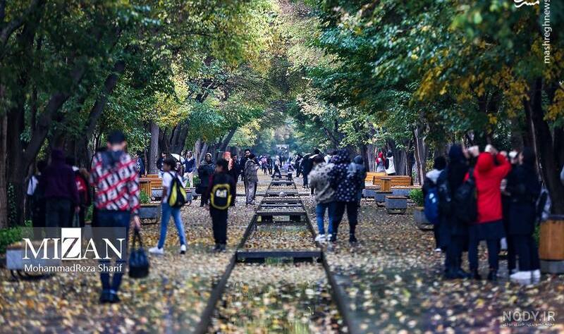 بارش باران پاییزی در مازندران (عکس) بارش باران پاییزی در مازندران (عکس)