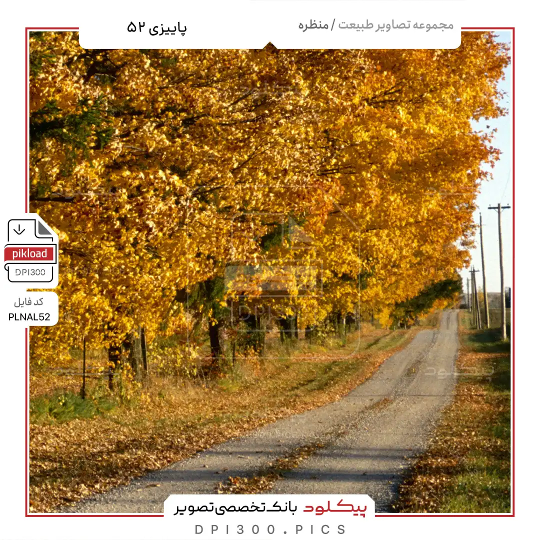 طبیعت زیبای پاییزی که هزاران نفر آن را می‌بینند (عکس)
