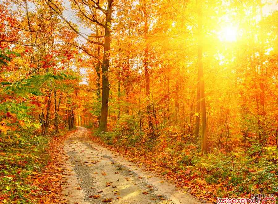 عکس از فصل زیبای پاییز عکس از فصل زیبای پاییز