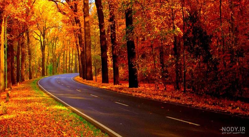 عکس از پاییز شمال