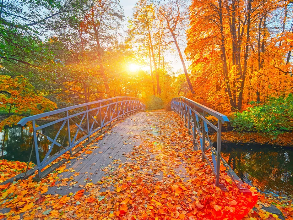 عکس فصل پاییز عکس فصل پاییز