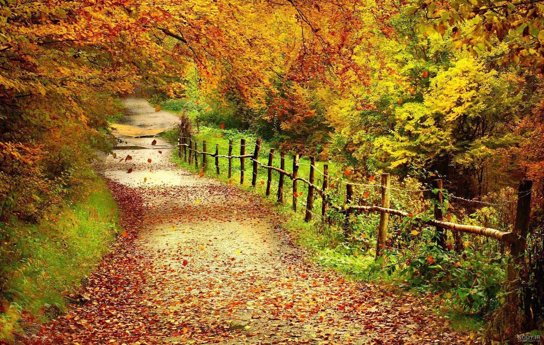 عکس مناظر زیبای پاییزی عکس مناظر زیبای پاییزی
