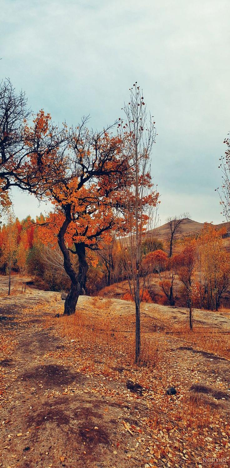 عکس منظره ی پاییزی زیبا - عکس نودی