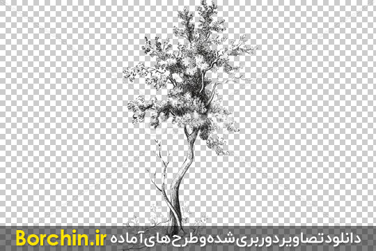 عکس نقاشی درخت خشک ساده