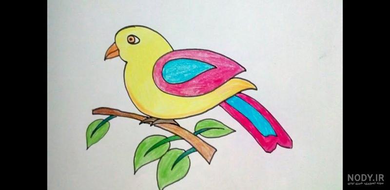 عکس نقاشی قناری ساده