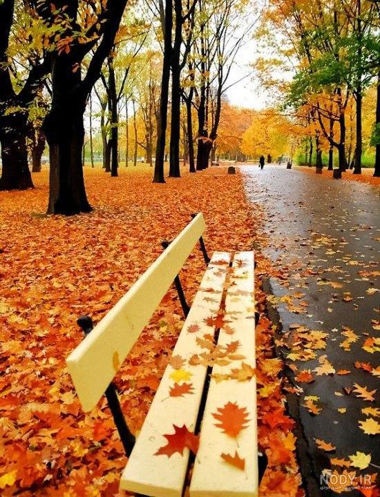 عکس های پاییزی برای پس زمینه