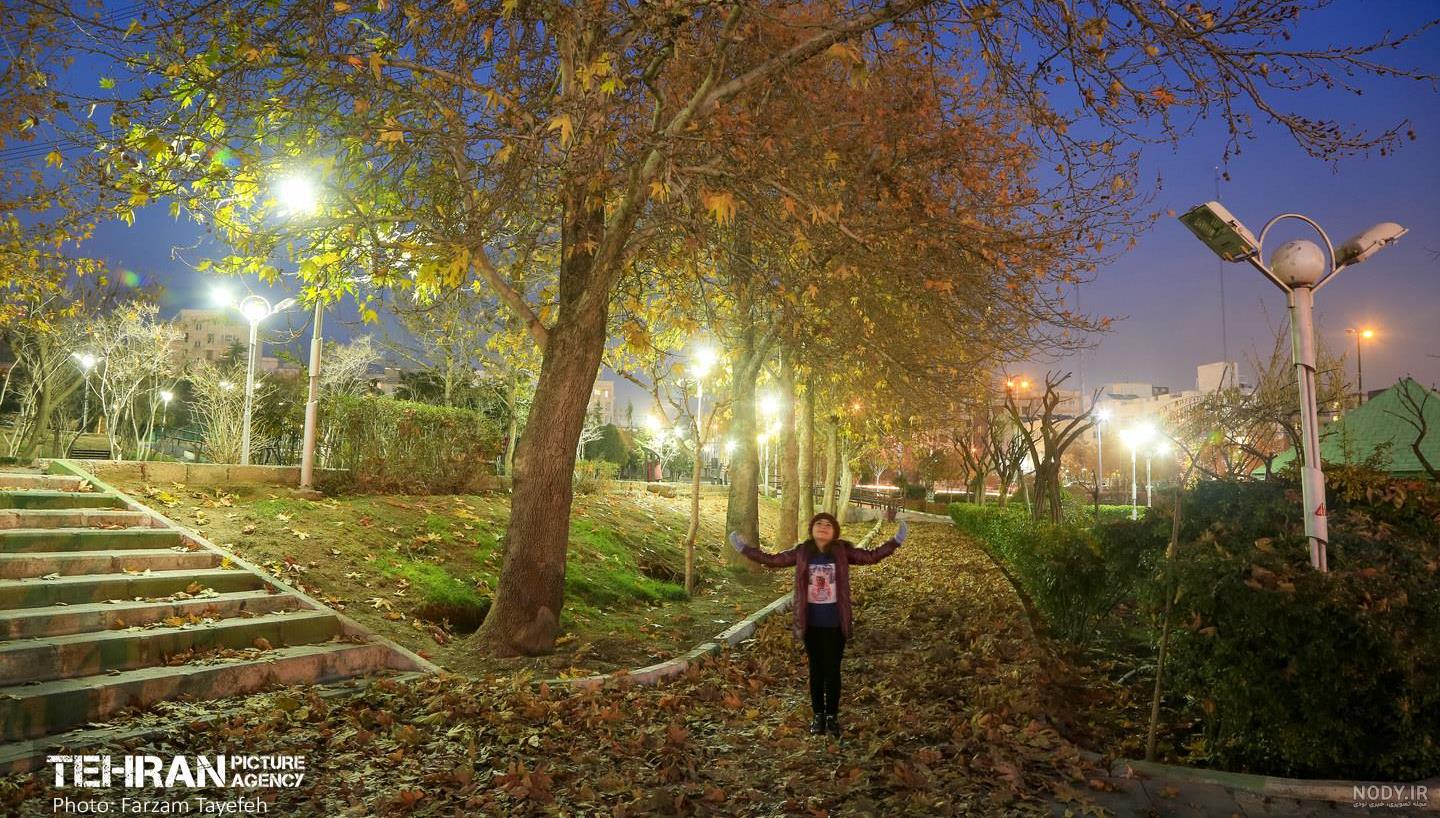 عکس پاییزی در شب