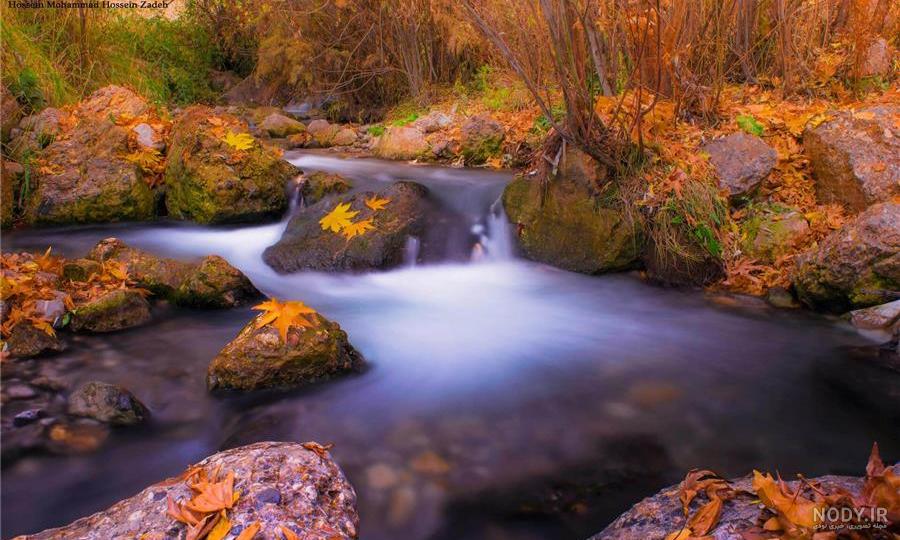 عکس پاییزی فیلم - عکس نودی