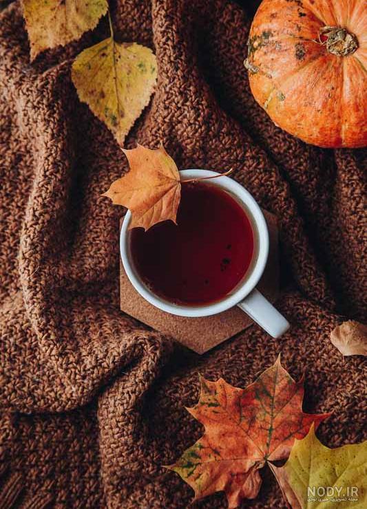 عکس پاییزی و قهوه