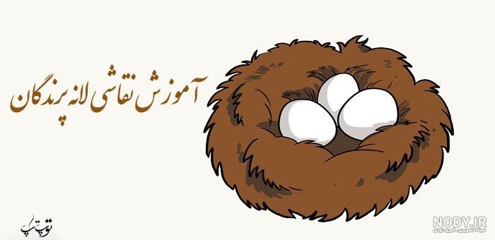 عکس گنجشک ساده برای نقاشی