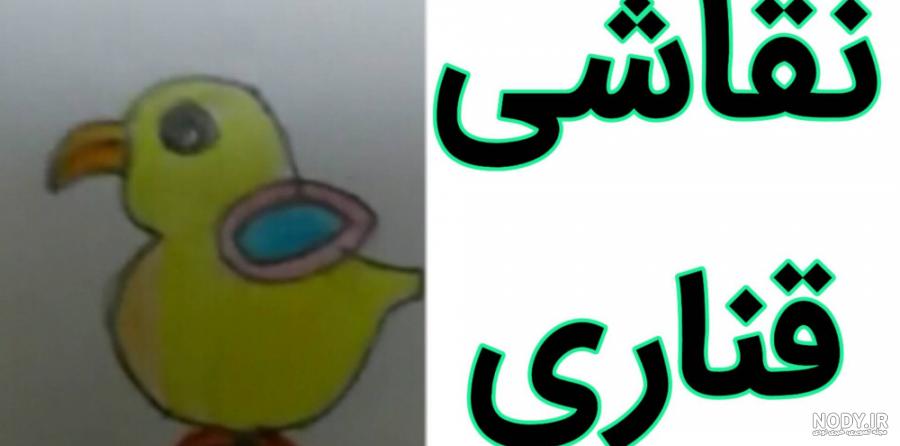 قناری عکس با کیفیت قناری و وکتور لایه باز قناری پارس استاک | شاتر استوک  پارسی