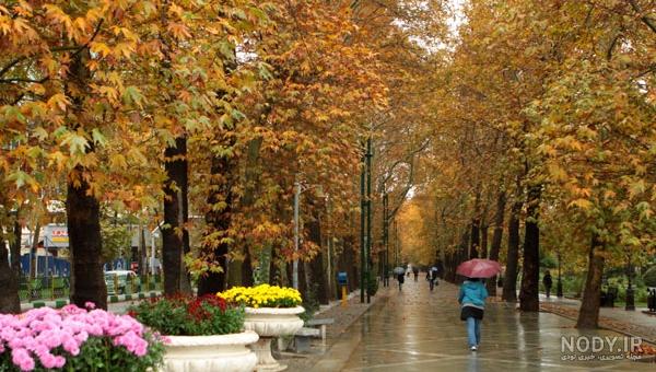 پاییز پاییز