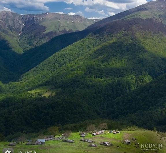 جنگل‌های ایران - ویکی‌پدیا، دانشنامهٔ آزاد