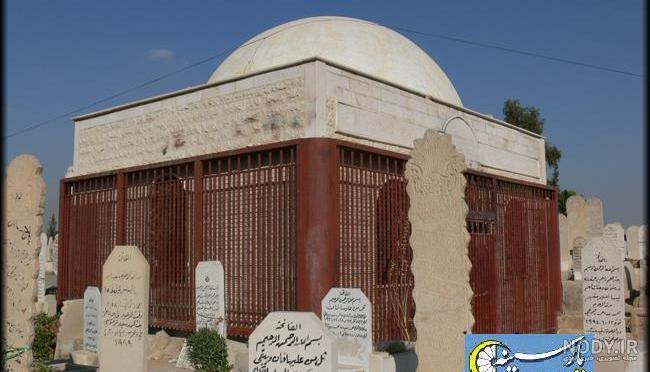 عکس یزید و معاویه