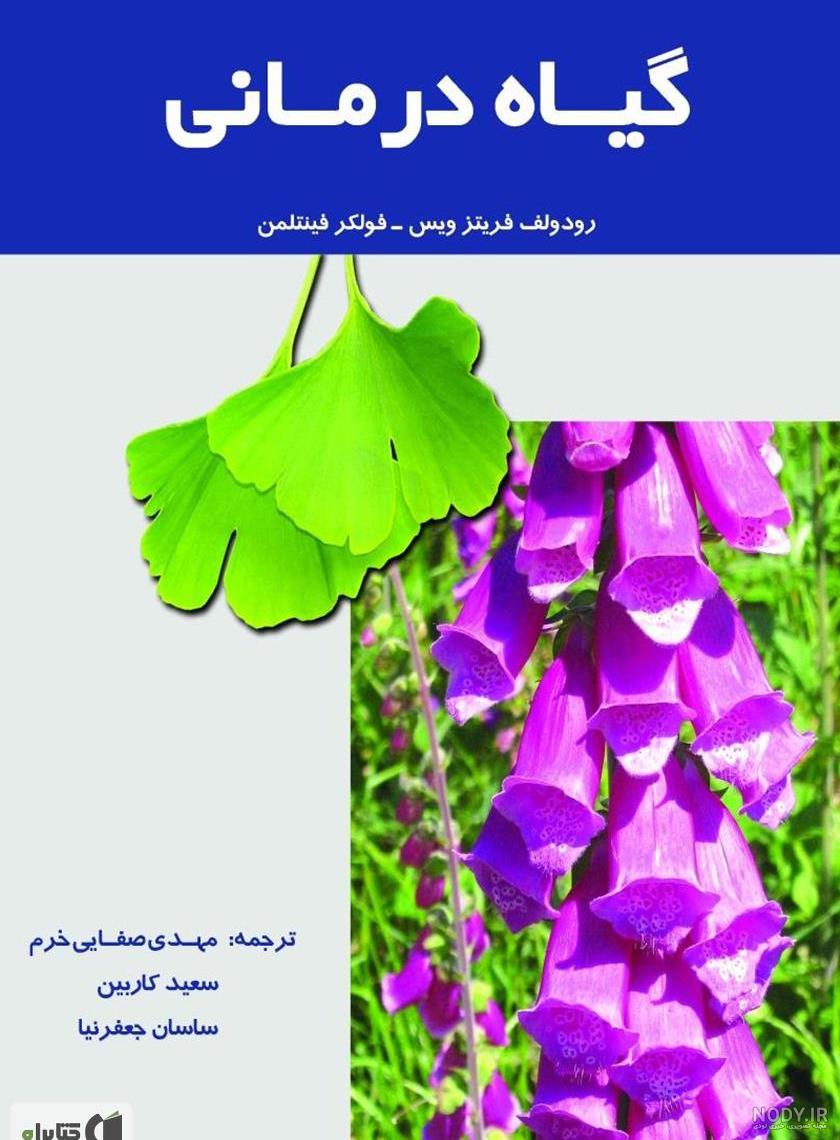 قره قات یا سیاه گیله،100گرم - سحرانا قره قات یا سیاه گیله،100گرم - سحرانا